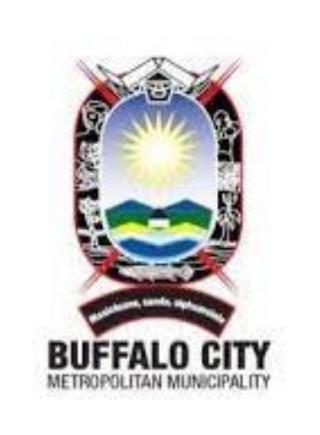 Buffalo City Metropolitan Development Agency (BCMDA) logo