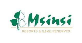 Msinsi Holding SOC Ltd logo