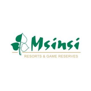 Msinsi Holding SOC Ltd logo