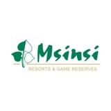Msinsi Holding SOC Ltd logo