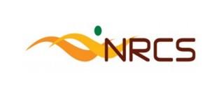 National Regulator for Compulsory Specifications logo